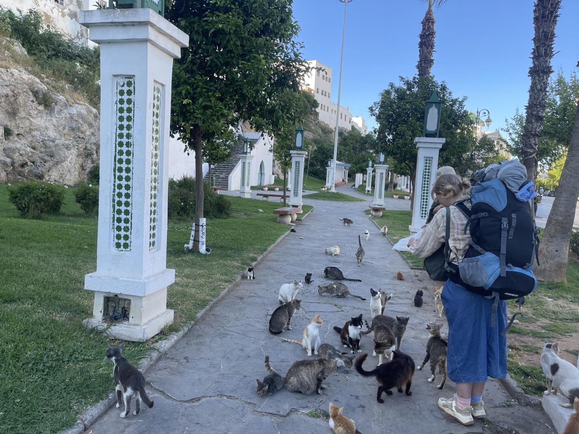 Casa Marwan Hostel Tétouan Екстериор снимка