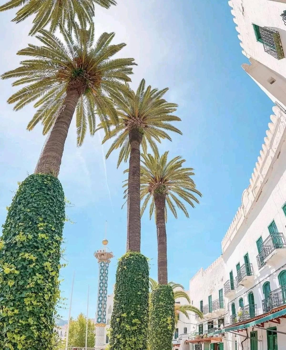Casa Marwan Hostel Tétouan Екстериор снимка