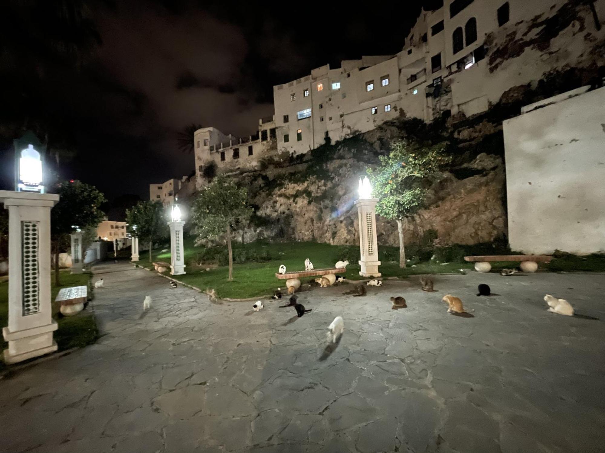 Casa Marwan Hostel Tétouan Екстериор снимка